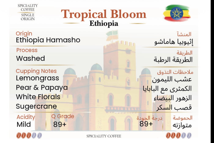 Ethiopia Hamasho - Tropical Bloom