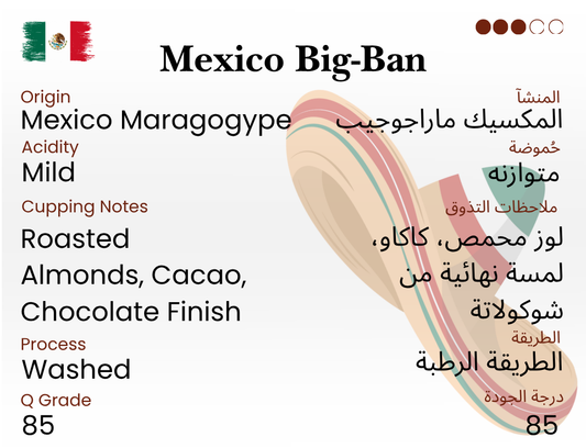 Mexico Big-Ban – Medium Roast